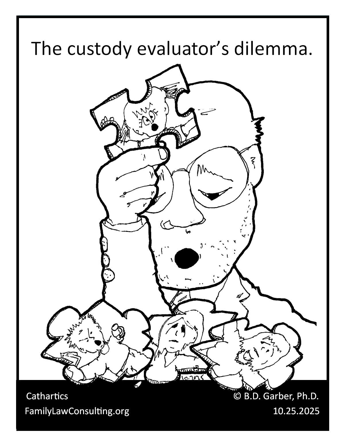 custody evaluator