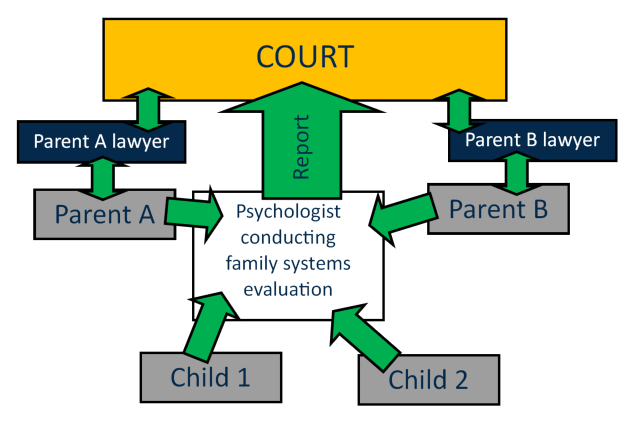 family systems
                                          evaluation