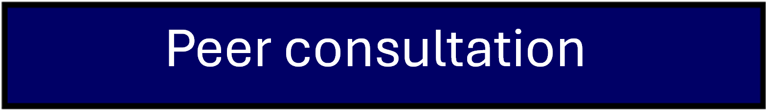 peer conultation