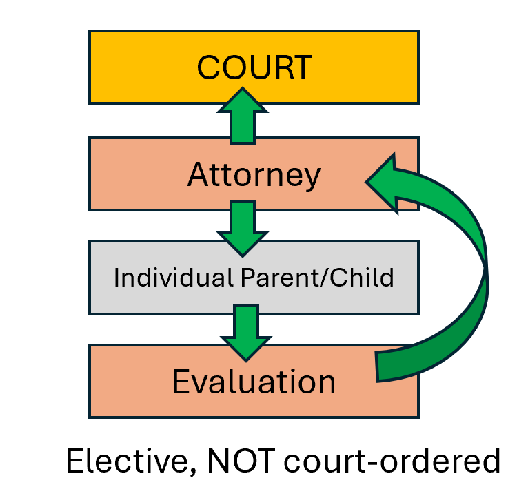 Elective individual
                                          evaluation