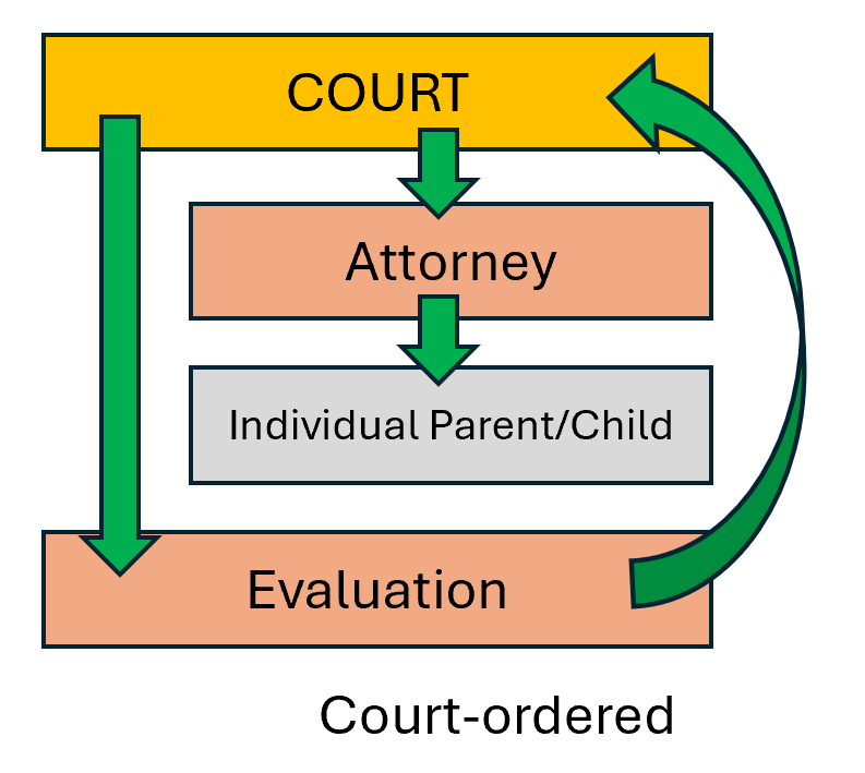 Court ordered individual
                                          evaluation